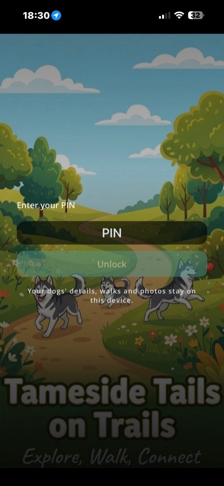 The PIN unlock screen