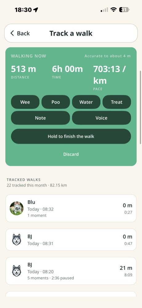 Logging a moment while walking